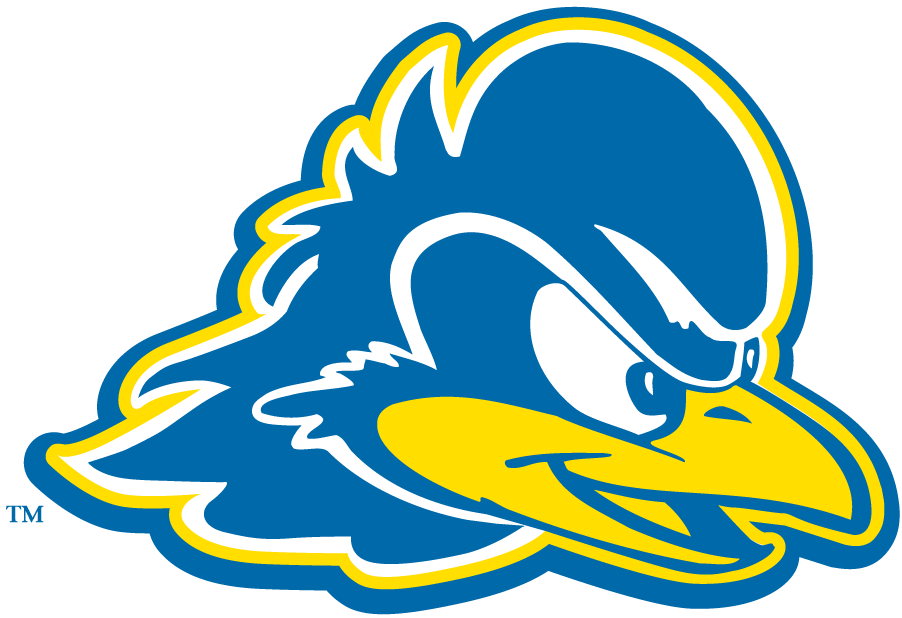 Delaware Blue Hens 2009-Pres Secondary Logo iron on transfers for clothing